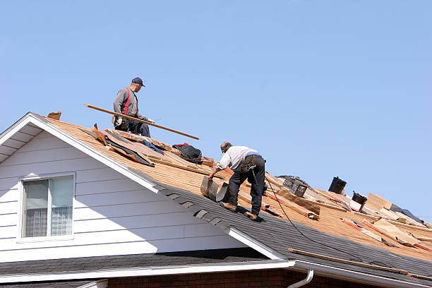 Best Roof Moss and Algae Removal  in Malverne, NY